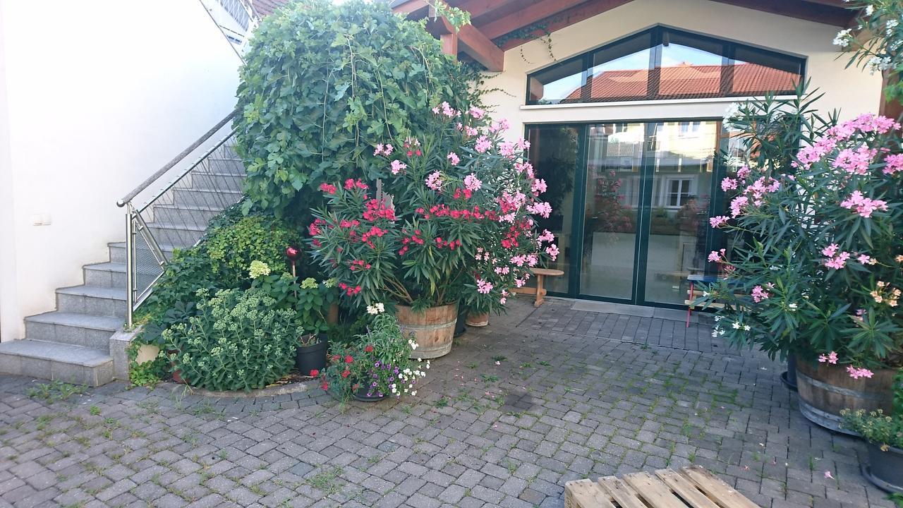 فندق Weingut Familie Bauer Grossriedenthal المظهر الخارجي الصورة